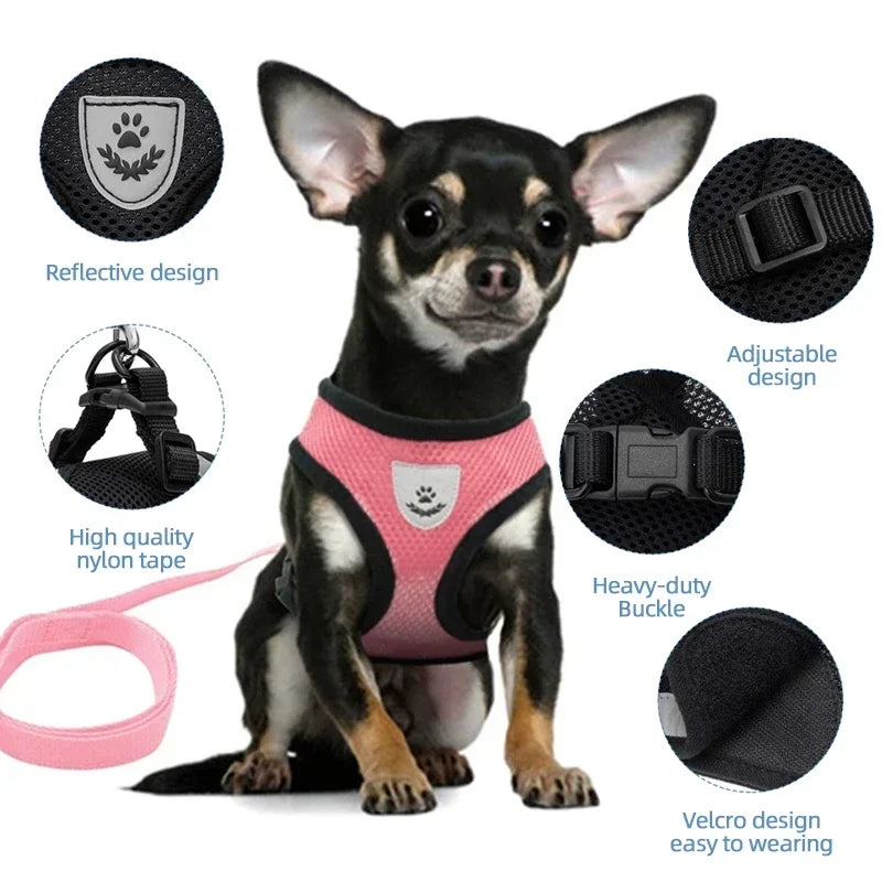 Adjustable Cat & Dog Harness Vest with Leash — Small & Medium Pets