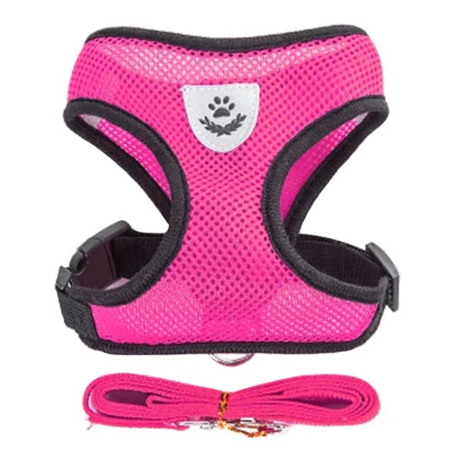 Adjustable Cat & Dog Harness Vest with Leash — Small & Medium Pets