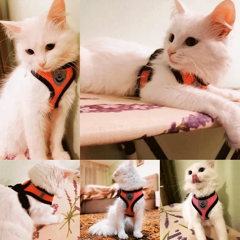 Adjustable Cat & Dog Harness Vest with Leash — Small & Medium Pets