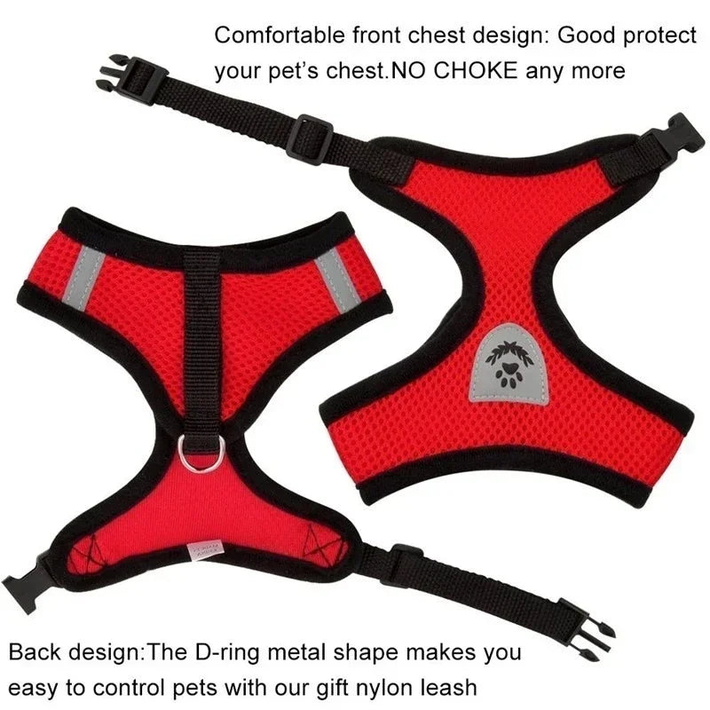 Adjustable Cat & Dog Harness Vest with Leash — Small & Medium Pets