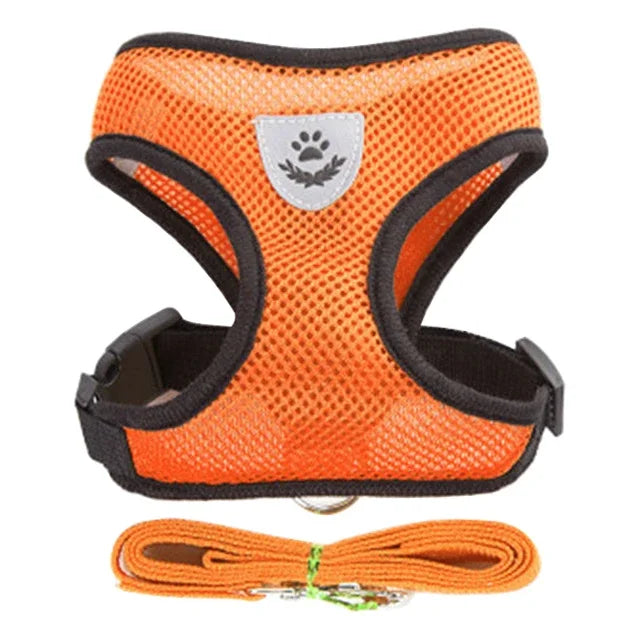 Adjustable Cat & Dog Harness Vest with Leash — Small & Medium Pets