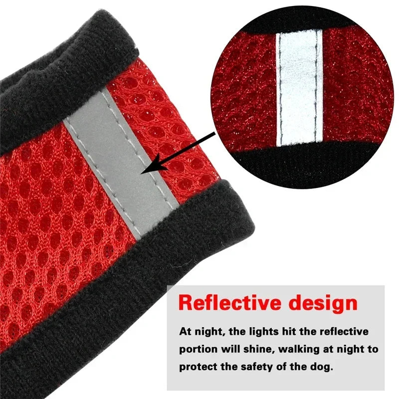 Adjustable Cat & Dog Harness Vest with Leash — Small & Medium Pets