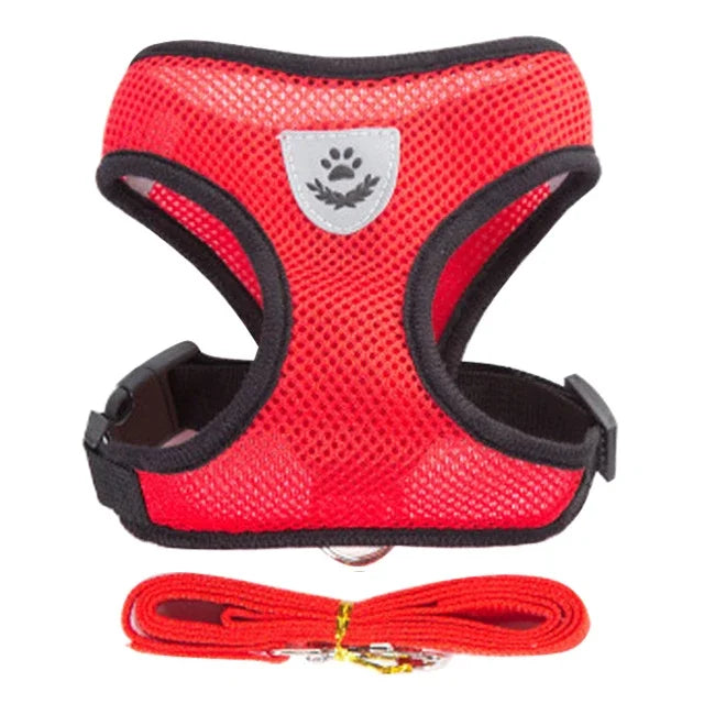 Adjustable Cat & Dog Harness Vest with Leash — Small & Medium Pets