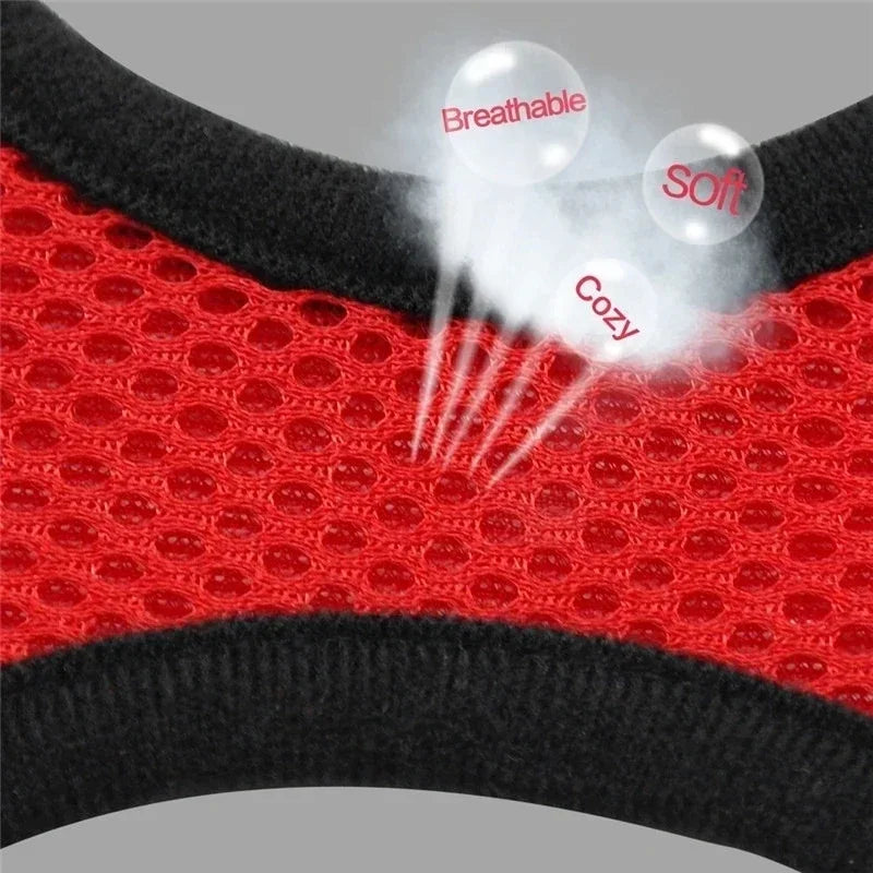 Adjustable Cat & Dog Harness Vest with Leash — Small & Medium Pets