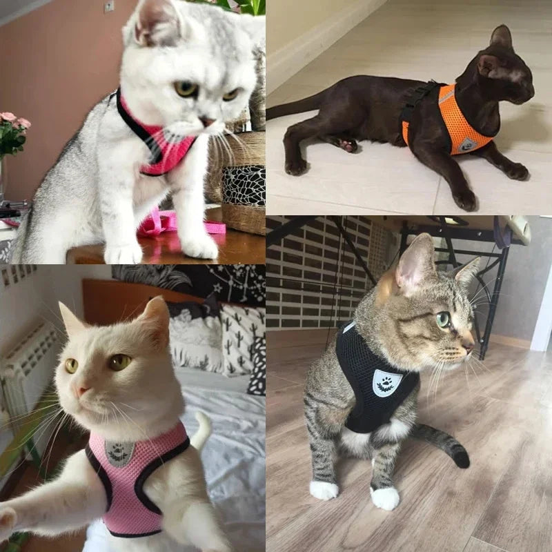 Adjustable Cat & Dog Harness Vest with Leash — Small & Medium Pets