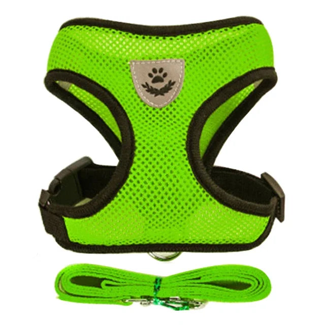 Adjustable Cat & Dog Harness Vest with Leash — Small & Medium Pets