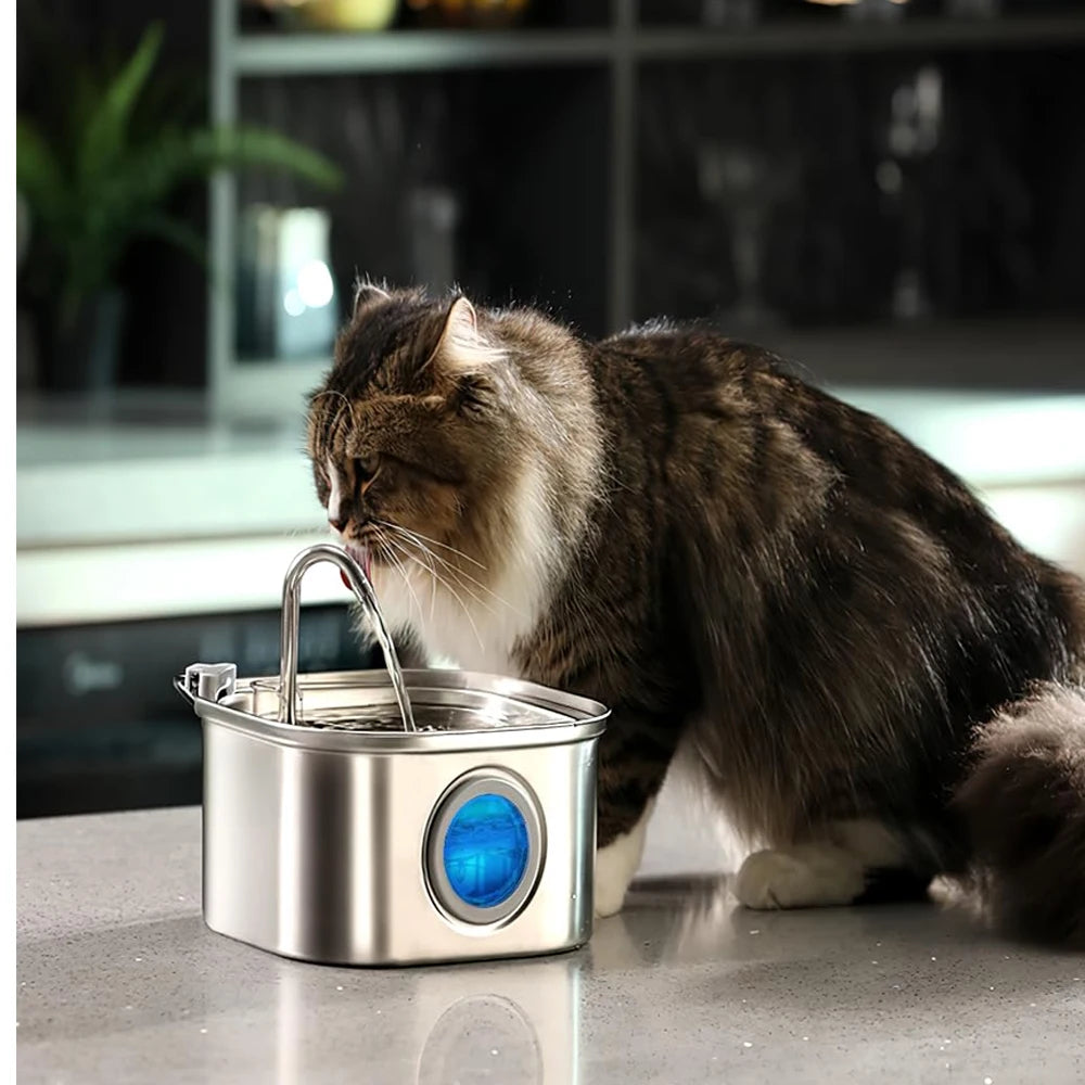 Automatic Pet Water Fountain — 2.2L Stainless Steel Dog & Cat Water Dispenser | CoolPaws