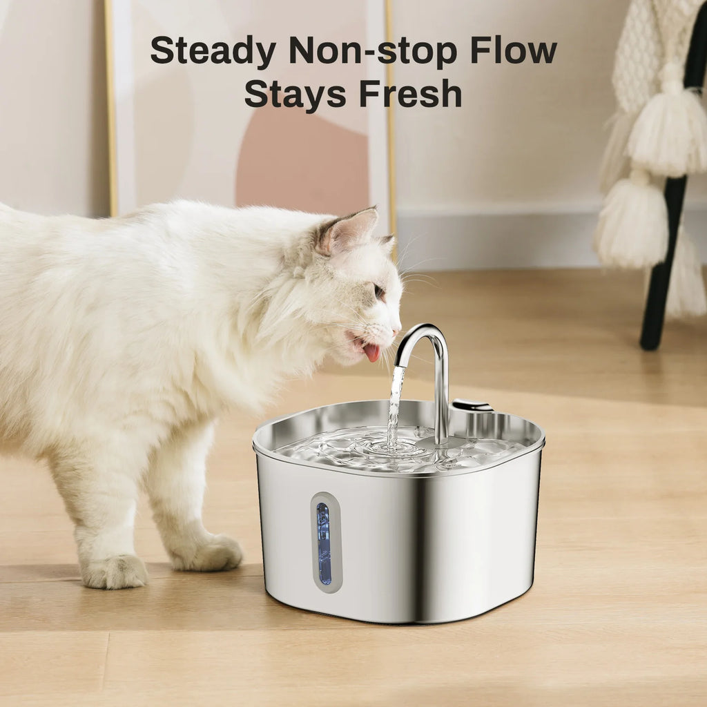 Automatic Pet Water Fountain — 2.2L Stainless Steel Dog & Cat Water Dispenser | CoolPaws