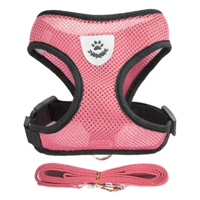 Adjustable Cat & Dog Harness Vest with Leash — Small & Medium Pets